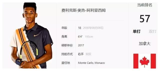 项目的整体